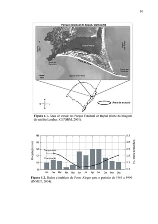 10

Lago
Guaíba

Lagoa Negra

Morro do
Campista

Pra

Lagoa
dos Patos

Parque Estadual de Itapuã, Viamão/RS

ia d
eF
o ra
Pontal das
Desertas

Lagoa dos Patos

1km

N
L

O

Área de estudo

S

Figura 1.1. Área de estudo no Parque Estadual de Itapuã (fonte da imagem
de satélite Landsat: CEPSRM, 2001).

Temperatura

Precipitação

Figura 1.2. Dados climáticos de Porto Alegre para o período de 1961 a 1990
(INMET, 2004).

 