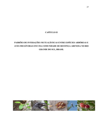 27

CAPÍTULO II

PADRÕES DE INTERAÇÕES MUTUALÍSTICAS ENTRE ESPÉCIES ARBÓREAS E
AVES FRUGÍVORAS EM UMA COMUNIDADE DE RESTINGA ARENOSA NO RIO
GRANDE DO SUL, BRASIL

 