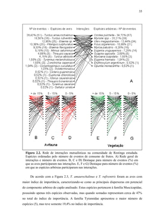 35

Figura 2.2. Rede de interações mutualísticas na comunidade de Restinga estudada.
Espécies ordenadas pelo número de eventos de consumo de frutos. A) Rede geral de
interações e número de eventos. B, C e D) Destaque para número de eventos (%) em
que as aves participaram nas interações. E, F e G) Destaque para número de eventos (%)
em que as espécies arbóreas participaram nas interações.
De acordo com a Figura 2.3, T. amaurochalinus e T. rufiventris foram as aves com
maior índice de importância, caracterizando-se como as principais dispersoras em potencial
do componente arbóreo do capão analisado. Estas espécies pertencem à família Muscicapidae,
possuindo apenas três espécies observadas, mas quando somadas representam cerca de 47%
no total do índice de importância. A família Tyrannidae apresentou o maior número de
espécies (5), mas teve somente 19,4% no índice de importância.

 