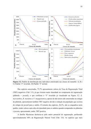 55

Sebastiania serrata

4000

Eugenia spp.
Ocotea pulchella

3500
3000
2500
2000
1500
1000

700

Densidade absoluta (ind/ha)

Densidade absoluta (ind/ha)

4500

Casearia sylvestris

600

Erythroxylum argentinum
Solanum pseudoquina

500

Syagrus romanzoffiana
Zanthoxylum fagara

400
300
200
100

500
0

0
Plânt ula

A

Juvenil

Adulto

Classes de tamanho

Densidade absoluta (ind/ha)

Densidade absoluta (ind/ha)

Myrsine spp.

12000
10000
8000
6000
4000

C

Adulto

Chrysophyllum marginatum
Dodonaea viscosa

12

Ficus organensis
Randia armata
Sideroxylon obtusifolium

10
8
6
4
2

2000
0

Juvenil
Cl asses de tamanho

14

Myrcia palustris
14000

Plânt ula

B

0
Plântula

Juvenil

Adulto

Classe s de tamanho

Plânt ula

D

Juvenil

Adulto

Cl asse s de tamanho

Figura 3.2. Padrão de distribuição dos indivíduos amostrados nas classes de tamanho. A, B e
C) Padrão “J” invertido. D) Padrão “J” normal.
Das espécies amostradas, 73,7% apresentaram valores de Taxa de Regeneração Total
(TRT) negativos (Tab. 3.5), já que tiveram maior densidade no componente de regeneração
(plântula + juvenil), o que confirma o “J” invertido já visualizado na Figura 3.2. E.
myrcianthes, R. maritima e V. megapotamica, apesar de não terem sido amostradas no estágio
de plântula, apresentaram também TRT negativa devido à redução da população que ocorreu
do estágio de juvenil para o adulto. O restante das espécies, 26,3%, não se enquadrou neste
padrão, tendo valores mais altos de densidade para os adultos quando comparados às plântulas
e juvenis, apresentando, então, TRT positiva.
A família Myrtaceae destacou-se pelo maior potencial de regeneração, perfazendo
aproximadamente 60% da Regeneração Natural Total (Tab. 3.6). As espécies que mais

 