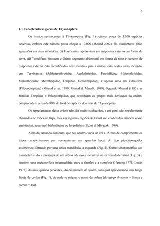 16

1.1 Características gerais de Thysanoptera
Os insetos pertencentes à Thysanoptera (Fig. 1) reúnem cerca de 5.500 espécies
descritas, embora este número possa chegar a 10.000 (Mound 2002). Os tisanópteros estão
agrupados em duas subordens: (i) Terebrantia: apresentam um ovipositor externo em forma de
serra, (ii) Tubulifera: possuem o último segmento abdominal em forma de tubo e carecem de
ovipositor externo. São reconhecidas nove famílias para a ordem, oito destas estão incluídas
em

Terebrantia

(Adiheterothripidae,

Aeolothripidae,

Fauriellidae,

Heterothripidae,

Melanthripidae, Merothripidae, Thripidae, Uzelothripidae), e apenas uma em Tubulifera
(Phlaeothripidae) (Mound et al. 1980, Mound & Marullo 1998). Segundo Mound (1983), as
famílias Thripidae e Phlaeothripidae, que constituem os grupos mais derivados da ordem,
compreendem cerca de 90% do total de espécies descritas de Thysanoptera.
Os representantes desta ordem não são muito conhecidos, e em geral são popularmente
chamados de tripes ou trips, mas em algumas regiões do Brasil são conhecidos também como
amintinhas, azucrinol, barbudinhos ou lacerdinhas (Buzzi & Miyazaki 1999).
Além do tamanho diminuto, que nos adultos varia de 0,5 a 15 mm de comprimento, os
tripes caracterizam-se por apresentarem um aparelho bucal do tipo picador-sugador
assimétrico, formado por uma única mandíbula, a esquerda (Fig. 2). Outras sinapomorfias dos
tisanópteros são a presença de um arólio adesivo e eversível na extremidade tarsal (Fig. 3) e
também uma metamorfose intermediária entre a simples e a completa (Heming 1971, Lewis
1973). As asas, quando presentes, são em número de quatro, cada qual apresentando uma longa
franja de cerdas (Fig. 1), de onde se origina o nome da ordem (do grego thysanos = franja e
pteron = asa).

 