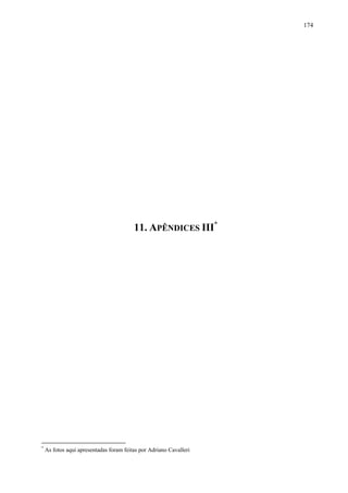 174

11. APÊNDICES III*

*

As fotos aqui apresentadas foram feitas por Adriano Cavalleri

 