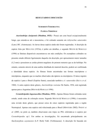 58

RESULTADOS E DISCUSSÃO

SUBORDEM TEREBRANTIA
FAMÍLIA THRIPIDAE
Aneristothrips claripennis (Moulton, 1933) - Possui um cone bucal excepcionalmente
longo, que estende-se até o mesosterno, e foi coletado somente em Achyrocline satureoides
(Lam.) DC. (Asteraceae). As larvas dessa espécie ainda não foram registradas. A descrição da
espécie feita por MOULTON (1933a), é pobre em detalhes, e segundo MOUND & MARULLO
(1996) as lâminas disponíveis encontram-se em más condições. Os exemplares coletados no
presente estudo diferem ligeiramente daqueles da descrição, por apresentarem maior tamanho
(1,2 mm) e possuírem as cerdas póstero-angulares do pronoto menores que as do holótipo. No
entanto, somente através de uma análise detalhada do material descrito, poderá ser confirmada
a identidade dessa espécie. As fêmeas foram encontradas nas formas macrópteras e
micrópteras, enquanto que os machos observados são ápteros ou micrópteros. O único registro
da espécie é para o Brasil (Espírito Santo), associada também a A. satureoides (SILVA et al.
1968). A outra espécie deste gênero, Aneristothrips rostratus De Santis, 1954, está registrada
apenas para a Argentina (MOUND & MARULLO 1996).
Ceratothripoides lagoenacollus (Moulton, 1933) - Apenas fêmeas foram coletadas neste
estudo, sendo estas de coloração escura. Segundo MOUND & MARULLO (1996), é necessária
uma revisão deste gênero, que possui cerca de cinco espécies registradas para a região
Neotropical. Apenas esta espécie está relacionada para o Brasil (MONTEIRO 2002). PINENT et
al. (2003, no prelo a), também observaram este tripes no PEI, referindo-se à espécie por
Ceratothripoides sp.1. Em ambas as investigações, foi encontrado principalmente em
Stachytarpheta cayennensis (L.P. Rich) Vahl. (Verbenaceae). A descrição foi baseada em

 