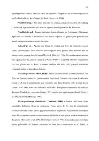 62

espécie promove danos a frutos de citros na Argentina. É registrada em diversas espécies nas
regiões Centro-Oeste, Sul e Sudeste do Brasil (SILVA et al. 1968).
Frankliniella sp.1 - Um único indivíduo foi coletado, em Hyptis mutabilis (Rich.) Briq.
(Lamiaceae). Apresenta coloração amarela, e possui a cerda pós-ocular I e III ausente.
Frankliniella sp.2 - Poucos indivíduos foram coletados em Asteraceae e Myrtaceae.
Apresenta cor amarela e diferencia-se das demais espécies do gênero principalmente por
possuir os segmentos antenais mais alargados.
Halmathrips sp. - Apenas uma fêmea foi coletada em flores de Calliandra tweedii
Benth. (Mimosaceae). Estão descritas cinco espécies neste gênero, todas baseadas em um
número muito pequeno de indivíduos (MOUND & MARULLO 1996). Registradas principalmente
para alguns países da América Central e do Norte. PINENT et al. (2003), referiram pela primeira
vez este gênero para o Brasil, e embora também não tenha sido possível nominá-las,
certamente tratam-se de espécies distintas.
Hoodothrips lineatus (Hood, 1928) - Apenas um espécime foi coletado em ramos com
flores de Lantana camara L. (Verbenaceae). Descrito de Trinidad, este tripes de coloração
escura e 1,5 mm de comprimento, está registrado para Santa Catarina e Rio Grande do Sul
(PINENT et al. 2003, MONTEIRO dados não publicados). Este gênero compreende três espécies,
das quais Hoodothrips constrictus (Hood, 1925) também têm registro para o Brasil (SILVA et
al. 1968, MOUND & MARULLO 1996).
Microcephalothrips abdominalis (Crawford, 1910) - Poucos indivíduos foram
registrados, habitando flores de Asteraceae. Possui cerca de 1,3 mm de comprimento,
coloração castanho-clara e cabeça pequena em relação ao pronoto. Popularmente chamada de
tripes das compostas, encontra-se amplamente distribuída pelos trópicos, sendo a única espécie
do gênero (DE SANTIS et al. 1980, MOUND & MARULLO 1996). É relatada como importante
agente polinizador de diversas asteráceas na Índia (ANATHAKRISHNAN et al. 1981a, b,

 