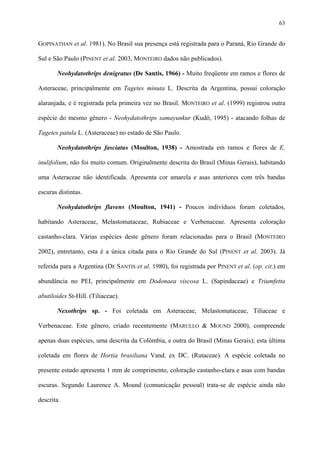 63

GOPINATHAN et al. 1981). No Brasil sua presença está registrada para o Paraná, Rio Grande do
Sul e São Paulo (PINENT et al. 2003, MONTEIRO dados não publicados).
Neohydatothrips denigratus (De Santis, 1966) - Muito freqüente em ramos e flores de
Asteraceae, principalmente em Tagetes minuta L. Descrita da Argentina, possui coloração
alaranjada, e é registrada pela primeira vez no Brasil. MONTEIRO et al. (1999) registrou outra
espécie do mesmo gênero - Neohydatothrips samayunkur (Kudô, 1995) - atacando folhas de
Tagetes patula L. (Asteraceae) no estado de São Paulo.
Neohydatothrips fasciatus (Moulton, 1938) - Amostrada em ramos e flores de E.
inulifolium, não foi muito comum. Originalmente descrita do Brasil (Minas Gerais), habitando
uma Asteraceae não identificada. Apresenta cor amarela e asas anteriores com três bandas
escuras distintas.
Neohydatothrips flavens (Moulton, 1941) - Poucos indivíduos foram coletados,
habitando Asteraceae, Melastomataceae, Rubiaceae e Verbenaceae. Apresenta coloração
castanho-clara. Várias espécies deste gênero foram relacionadas para o Brasil (MONTEIRO
2002), entretanto, esta é a única citada para o Rio Grande do Sul (PINENT et al. 2003). Já
referida para a Argentina (DE SANTIS et al. 1980), foi registrada por PINENT et al. (op. cit.) em
abundância no PEI, principalmente em Dodonaea viscosa L. (Sapindaceae) e Triumfetta
abutiloides St-Hill. (Tiliaceae).
Nexothrips sp. - Foi coletada em Asteraceae, Melastomataceae, Tiliaceae e
Verbenaceae. Este gênero, criado recentemente (MARULLO & MOUND 2000), compreende
apenas duas espécies, uma descrita da Colômbia, e outra do Brasil (Minas Gerais); esta última
coletada em flores de Hortia brasiliana Vand. ex DC. (Rutaceae). A espécie coletada no
presente estudo apresenta 1 mm de comprimento, coloração castanho-clara e asas com bandas
escuras. Segundo Laurence A. Mound (comunicação pessoal) trata-se de espécie ainda não
descrita.

 