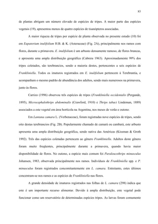 83

de plantas abrigam um número elevado de espécies de tripes. A maior parte das espécies
vegetais (19), apresentou menos de quatro espécies de tisanópteros associadas.
A maior riqueza de tripes por espécie de planta observada no presente estudo (10) foi
em Eupatorium inulifolium H.B. & K. (Asteraceae) (Fig. 2A), principalmente nos ramos com
flores, durante a primavera. E. inulifolium é um arbusto densamente ramoso, de flores brancas,
e apresenta uma ampla distribuição geográfica (Cabrera 1963). Aproximadamente 99% dos
tripes coletados, são terebrancios, sendo a maioria destes, pertencentes a seis espécies de
Frankliniella. Todos os imaturos registrados em E. inulifolium pertencem à Terebrantia, e
acompanham o mesmo padrão de abundância dos adultos, sendo mais numerosos na primavera,
junto às flores.
Carrizo (1996) observou três espécies de tripes (Frankliniella occidentalis (Pergande,
1895), Microcephalothrips abdominalis (Crawford, 1910) e Thrips tabaci Lindeman, 1889)
associados a este vegetal em área hortícola na Argentina, nos meses de verão e outono.
Em Lantana camara L. (Verbenaceae), foram registradas nove espécies de tripes, sendo
oito destas terebrancios (Fig. 2B). Popularmente chamado de camará ou cambará, este arbusto
apresenta uma ampla distribuição geográfica, sendo nativa das Américas (Kissman & Groth
1992). Três das espécies coletadas pertencem ao gênero Frankliniella. Adultos deste gênero
foram muito freqüentes, principalmente durante a primavera, quando havia maior
disponibilidade de flores. No outono, a espécie mais comum foi Paraleucothrips minusculus
Johansen, 1983, observada principalmente nos ramos. Indivíduos de Frankliniella spp. e P.
minusculus foram registrados concomitantemente em L. camara. Entretanto, estes últimos
concentram-se nos ramos e as espécies de Frankliniella nas flores.
A grande densidade de imaturos registrados nas folhas de L. camara (298) indica que
este é um importante recurso alimentar. Devido à ampla distribuição, este vegetal pode
funcionar como um reservatório de determinadas espécies tripes. As larvas foram comumente

 