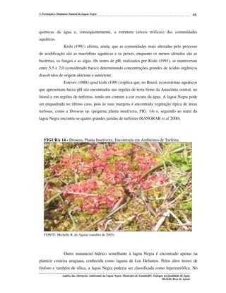 3. Formação e Dinâmica Natural da Lagoa Negra

46

químicas da água e, conseqüentemente, a estrutura (níveis tróficos) das comunidades
aquáticas.
Kishi (1991) afirma, ainda, que as comunidades mais alteradas pelo processo
de acidificação são as macrófitas aquáticas e os peixes, enquanto os menos afetados são as
bactérias, os fungos e as algas. Os testes de pH, realizados por Kishi (1991), se mantiveram
entre 5,5 e 7,0 (considerado baixo) determinando concentrações grandes de ácidos orgânicos
dissolvidos de origem alóctone e autóctone.
Esteves (1988) apud kishi (1991) explica que, no Brasil, ecossistemas aquáticos
que apresentam baixo pH são encontrados nas regiões de terra firme da Amazônia central, no
litoral e em regiões de turfeiras, tendo em comum a cor escura da água. A lagoa Negra pode
ser enquadrada no último caso, pois às suas margens é encontrada vegetação típica de áreas
turfosas, como a Drosera sp. (pequena planta insetívora, FIG. 14) e, seguindo ao norte da
lagoa Negra encontra-se quatro grandes jazidas de turfeiras (RANGRAB et al 2000).

FIGURA 14 - Drosera, Planta Insetívora, Encontrada em Ambientes de Turfeira.

FONTE: Michelle R. de Aguiar (outubro de 2005).

Outro manancial hídrico semelhante à lagoa Negra é encontrado apenas na
planície costeira uruguaia, conhecida como laguna de Los Defuntos. Pelos altos teores de
fósforo e também de sílica, a lagoa Negra poderia ser classificada como hipereutrófica. No
Análise das Alterações Ambientais na Lagoa Negra, Município de Viamão/RS: Enfoque na Qualidade da Água.
Michelle Rosa de Aguiar

 