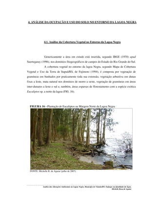 4. ANÁLISE DA OCUPAÇÃO E USO DO SOLO NO ENTORNO DA LAGOA NEGRA

4.1. Análise da Cobertura Vegetal no Entorno da Lagoa Negra

Genericamente a área em estudo está inserida, segundo IBGE (1970) apud
Suertegaray (1996), nos domínios fitogeográficos de campos do Estado do Rio Grande do Sul.
A cobertura vegetal no entorno da lagoa Negra, segundo Mapa de Cobertura
Vegetal e Uso da Terra de Itapuã/RS, de Fujimoto (1994), é composta por vegetação de
gramíneas em banhados por praticamente toda sua extensão, vegetação arbustiva em dunas
fixas a leste, mata natural nos domínios de morro a oeste, vegetação de gramíneas em áreas
inter-dunares a leste e sul e, também, áreas esparsas de florestamento com a espécie exótica
Eucaliptos sp. a norte da lagoa (FIG. 16).

FIGURA 16 - Plantação de Eucaliptos na Margem Norte da Lagoa Negra

FONTE: Michelle R. de Aguiar (julho de 2007).

Análise das Alterações Ambientais na Lagoa Negra, Município de Viamão/RS: Enfoque na Qualidade da Água.
Michelle Rosa de Aguiar

 