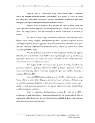 4. Análise da Ocupação e do Uso do Solo no Entorno da Lagoa Negra

53

Irgang e Gastal Jr. (1996) apud Irgang (2003) inferem sobre a importante
função dos banhados devido ao chamado “efeito esponja”, pois, quando há excesso de chuvas
eles absorvem e armazenam esse excesso, evitando inundações e funcionando como filtro
biológico na proteção de nascentes de qualquer manancial hídrico.
Segundo Plano de Manejo (1997), na beira das lagoas e outros locais com
águas represadas, ocorrem populações densas de juncos (Scirpus californicus) com até 2m de
altura. Nos campos úmidos, onde há acumulação de húmus, ocorre maior diversidade de
espécies.
No entorno da lagoa Negra, em terrenos pantanosos, desenvolvem-se matas
brejosas ou de restinga, composta principalmente por Fícus organensis (figueira), Syagrus
romanzoffiana (jerivá), Guapira opposita, Sebastiania commersoniana, Erythrina crista-galli,
mirtáceas e touceiras de bromeliácea. Nas bordas destas e também dos capões pode ocorrer
vassourais (IRGANG, 2003).
As zonas de banhados são centros de intensa vegetação palustre, com espécies
flutuantes, sem raízes terrestres, como Eichhornia crassipes (aguapé), Azola sp. e Salvinia sp.
(pteridófitas flutuantes); com espécies de rizomas enterrados no limo e folhas flutuantes,
como Pontederia cordata e Eichhornia azurea.
Nas margens úmidas crescem Ludwigia sp. (cruz-de-malta), Utricularia sp.,
juncáceas, cipreáceas e gramíneas. Ocorrem aí também populações agrupadas de Mimosa
bimucronata (maricá), arbusto ou arvoreta característico por seus espinhos, formando o
maricazal (IRGANG, 2003).
Giora et al (2005) apontam três grupos de macrófitas predominantes na lagoa
Negra: a Pistia stratiotis (alface d’água), a Salvinia auriculata (salvinea) e a Polygunum sp.
As macrófitas aquáticas são plantas evolutivamente retornadas do ambiente terrestre para o
aquático e, ainda apresentam características dos vegetais superiores terrestres, sendo divididas
em diferentes grupos ecológicos.
Entre os organismos fitoplanctônicos, segundo De Luca et al (1991),
predominam as algas diatomáceas, cuja principal característica é a incorporação da sílica no
seu material celular. Estas algas são um sinônimo de boa qualidade da água, sendo utilizadas
como alimento por protozoários e peixes.

Análise das Alterações Ambientais na Lagoa Negra, Município de Viamão/RS: Enfoque na Qualidade da Água.
Michelle Rosa de Aguiar

 