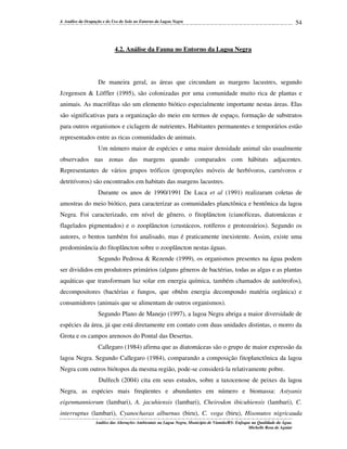 4. Análise da Ocupação e do Uso do Solo no Entorno da Lagoa Negra

54

4.2. Análise da Fauna no Entorno da Lagoa Negra

De maneira geral, as áreas que circundam as margens lacustres, segundo
J∅rgensen & Löffler (1995), são colonizadas por uma comunidade muito rica de plantas e
animais. As macrófitas são um elemento biótico especialmente importante nestas áreas. Elas
são significativas para a organização do meio em termos de espaço, formação de substratos
para outros organismos e ciclagem de nutrientes. Habitantes permanentes e temporários estão
representados entre as ricas comunidades de animais.
Um número maior de espécies e uma maior densidade animal são usualmente
observados nas zonas das margens quando comparados com hábitats adjacentes.
Representantes de vários grupos tróficos (proporções móveis de herbívoros, carnívoros e
detritívoros) são encontrados em habitats das margens lacustres.
Durante os anos de 1990/1991 De Luca et al (1991) realizaram coletas de
amostras do meio biótico, para caracterizar as comunidades planctônica e bentônica da lagoa
Negra. Foi caracterizado, em nível de gênero, o fitoplâncton (cianofíceas, diatomáceas e
flagelados pigmentados) e o zooplâncton (crustáceos, rotíferos e protozoários). Segundo os
autores, o bentos também foi analisado, mas é praticamente inexistente. Assim, existe uma
predominância do fitoplâncton sobre o zooplâncton nestas águas.
Segundo Pedrosa & Rezende (1999), os organismos presentes na água podem
ser divididos em produtores primários (alguns gêneros de bactérias, todas as algas e as plantas
aquáticas que transformam luz solar em energia química, também chamados de autótrofos),
decompositores (bactérias e fungos, que obtêm energia decompondo matéria orgânica) e
consumidores (animais que se alimentam de outros organismos).
Segundo Plano de Manejo (1997), a lagoa Negra abriga a maior diversidade de
espécies da área, já que está diretamente em contato com duas unidades distintas, o morro da
Grota e os campos arenosos do Pontal das Desertas.
Callegaro (1984) afirma que as diatomáceas são o grupo de maior expressão da
lagoa Negra. Segundo Callegaro (1984), comparando a composição fitoplanctônica da lagoa
Negra com outros biótopos da mesma região, pode-se considerá-la relativamente pobre.
Dulfech (2004) cita em seus estudos, sobre a taxocenose de peixes da lagoa
Negra, as espécies mais freqüentes e abundantes em número e biomassa: Astyanix
eigenmanniorum (lambari), A. jacuhiensis (lambari), Cheirodon ibicuhiensis (lambari), C.
interruptus (lambari), Cyanocharax alburnus (biru), C. voga (biru), Hisonutos nigricauda
Análise das Alterações Ambientais na Lagoa Negra, Município de Viamão/RS: Enfoque na Qualidade da Água.
Michelle Rosa de Aguiar

 