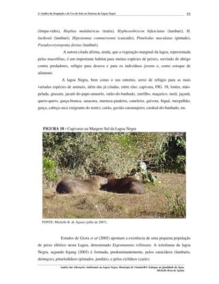 4. Análise da Ocupação e do Uso do Solo no Entorno da Lagoa Negra

55

(limpa-vidro), Hoplias malabaricus (traíra), Hyphessobrycon bifasciatus (lambari), H.
luetkenii (lambari), Hipostomus commersonni (cascudo), Pimelodus maculatus (pintado),
Pseudocorynopoma doriae (lambari).
A autora citada afirma, ainda, que a vegetação marginal da lagoa, representada
pelas macrófitas, é um importante habitat para muitas espécies de peixes, servindo de abrigo
contra predadores, refúgio para desova e para os indivíduos jovens e, como estoque de
alimento.
A lagoa Negra, bem como o seu entorno, serve de refúgio para as mais
variadas espécies de animais, além das já citadas, entre elas: capivara, FIG. 18, lontra, mãopelada, graxain, jacaré-do-papo-amarelo, ratão-do-banhado, zurrilho, maçarico, tarrã, jaçanã,
quero-quero, garça-branca, saracura, marreca-piadeira, caneleira, gaivota, biguá, mergulhão,
garça, cabeça-seca (migrante do norte), carão, gavião-caramujeiro, cardeal-do-banhado, etc.

FIGURA 18 - Capivaras na Margem Sul da Lagoa Negra

FONTE: Michelle R. de Aguiar (julho de 2007).

Estudos de Giora et al (2005) apontam a existência de uma pequena população
de peixe elétrico nesta Lagoa, denominado Eigenmannia trilineata. A ictiofauna da lagoa
Negra, segundo Irgang (2003) é formada, predominantemente, pelos caracídeos (lambaris,
dentuços), pimelodídeos (pintados, jundiás), e pelos ciclídeos (carás).
Análise das Alterações Ambientais na Lagoa Negra, Município de Viamão/RS: Enfoque na Qualidade da Água.
Michelle Rosa de Aguiar

 