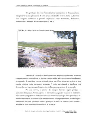4. Análise da Ocupação e do Uso do Solo no Entorno da Lagoa Negra

64

Os agrotóxicos têm como finalidade alterar a composição da flora ou da fauna
para preservá-las da ação danosa de seres vivos considerados nocivos. Inclui-se, também,
nesta categoria, substâncias e produtos empregados como desfolhantes, dessecantes,
estimuladores e inibidores do crescimento (IBGE, 2002).

FIGURA 21 - Vista Parcial da Fazenda Lagoa Negra

FONTE: Michelle R. de Aguiar (outubro de 2005).

J∅rgensen & Löffler (1995) enfatizam sobre pesquisas experimentais, bem como
estudos de campo, mostrando que os sistemas compreendidos pelo entorno das margens lacustres
(comunidades de macrófitas emersas e complexos de macrófitas submersas), podem ser uma
barreira protetora contra nutrientes e poluentes. A região que circunda o lago/lagoa pode
desempenhar um importante papel na proteção dos lagos e dos programas de recuperação.
Por este motivo, o entorno das margens lacustres requer proteção e
gerenciamento especiais. As inundações e os movimentos de água por ondas são os parâmetros
mais comuns que podem ou melhorar as áreas do entorno do lago/lagoa e sua persistência ou
manifestar tendências de destruição em estabelecimentos ou empreendimentos elaborados pelo
ser humano, tais como agricultura aquática (plantações de arroz) ou em terra firme, estradas e
povoados ou áreas urbanas e diferentes locais de recreação.

Análise das Alterações Ambientais na Lagoa Negra, Município de Viamão/RS: Enfoque na Qualidade da Água.
Michelle Rosa de Aguiar

 
