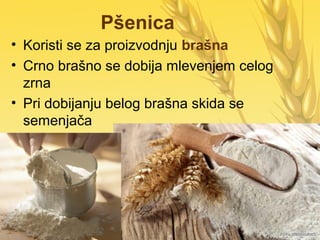 Pšenica
• Koristi se za proizvodnju brašna
• Crno brašno se dobija mlevenjem celog
zrna
• Pri dobijanju belog brašna skida se
semenjača
 