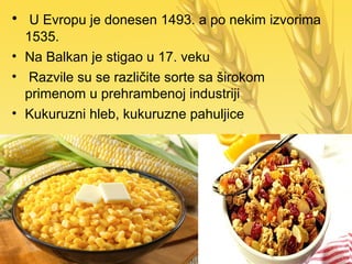 • U Evropu je donesen 1493. a po nekim izvorima
1535.
• Na Balkan je stigao u 17. veku
• Razvile su se različite sorte sa širokom
primenom u prehrambenoj industriji
• Kukuruzni hleb, kukuruzne pahuljice
 