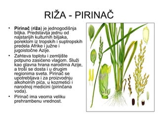 RIŽA - PIRINAČ
• Pirinač (riža) je jednogodišnja
  biljka. Predstavlja jednu od
  najstarijih kulturnih biljaka,
  poreklom iz tropskih i suptropskih
  predela Afrike i južne i
  jugoistočne Azije.
• Zahteva toplotu i zemljište
  potpuno zasićeno vlagom. Služi
  kao glavna hrana narodima Azije,
  a troši se dosta i u drugim
  regionima sveta. Pirinač se
  upotrebljava i za proizvodnju
  alkoholnih pića, u kozmetici i
  narodnoj medicini (pirinčana
  voda).
• Pirinač ima veoma veliku
  prehrambenu vrednost.
 