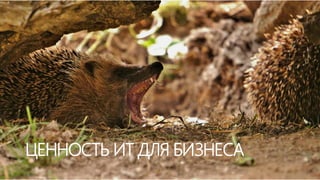 ЦЕННОСТЬ ИТ ДЛЯ БИЗНЕСА
 