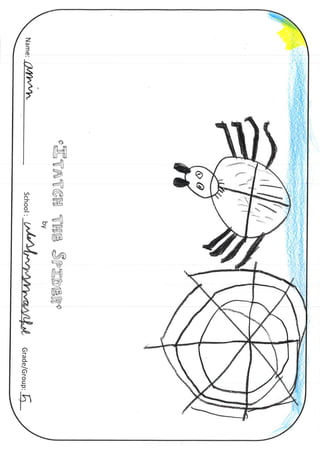 Itatch spiders group 5