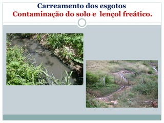 Carreamento dos esgotos
Contaminação do solo e lençol freático.
 