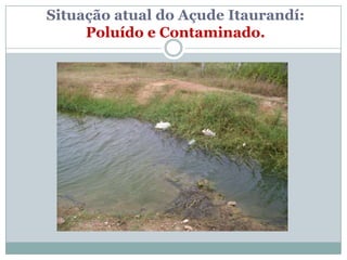 Situação atual do Açude Itaurandí:
     Poluído e Contaminado.
 
