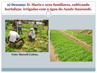 2) Descaso: D. Maria e seus familiares, cultivando
hortaliças irrigadas com a água do Açude Itaurandí.




   Foto: Marceli Cedraz.
 