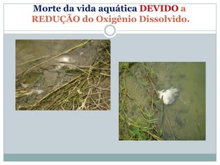 Morte da vida aquática DEVIDO a
REDUÇÃO do Oxigênio Dissolvido.
 