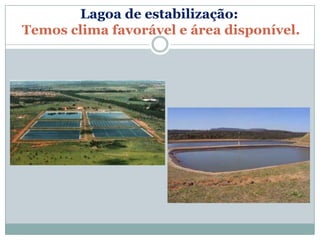 Lagoa de estabilização:
Temos clima favorável e área disponível.
 