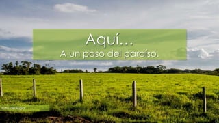 Aquí… 
A un paso del paraíso. 
foto del lugar 
 
