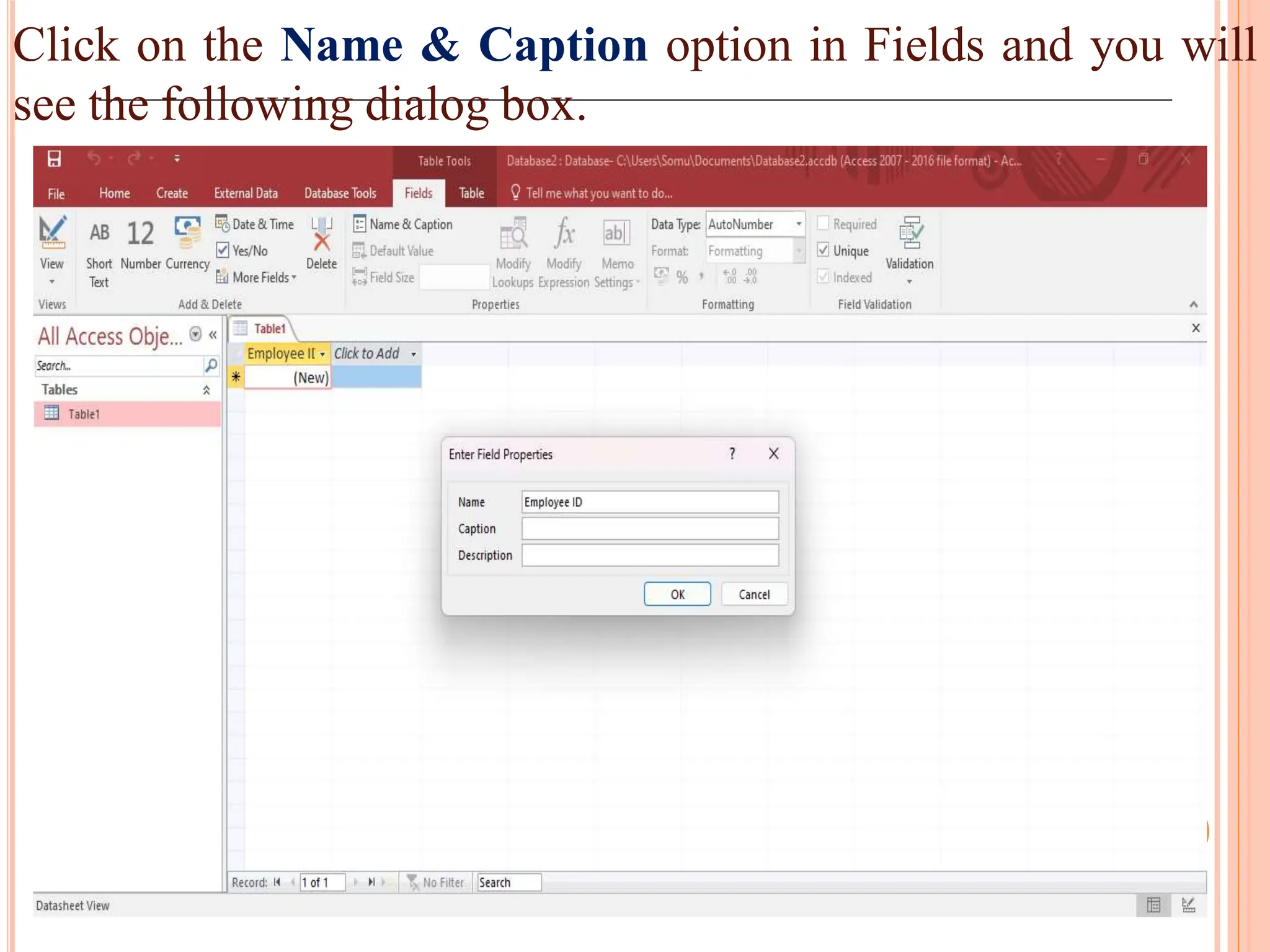 Click on the Name & Caption option in Fields and you will
see the following dialog box.
 