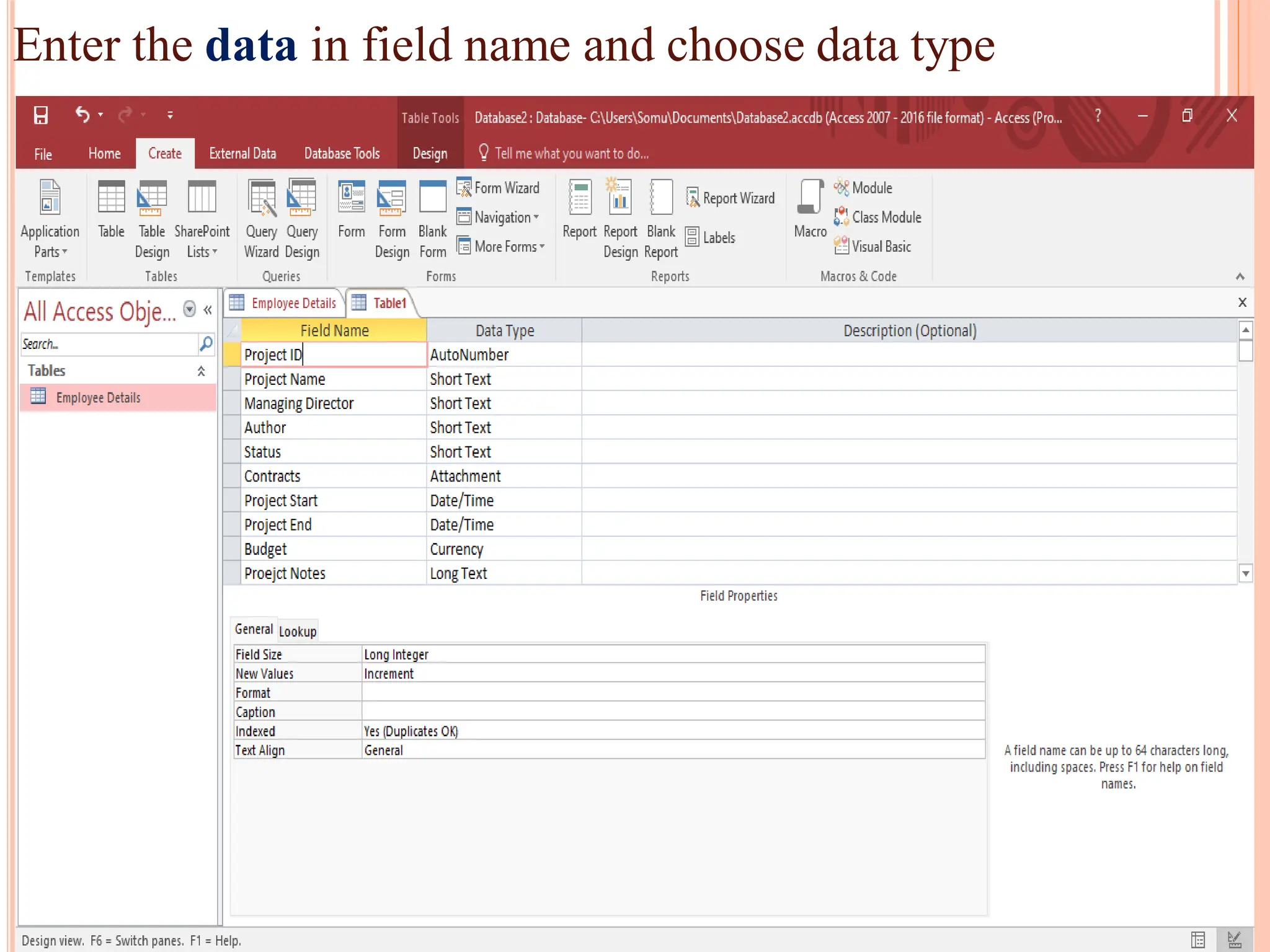 Enter the data in field name and choose data type
 
