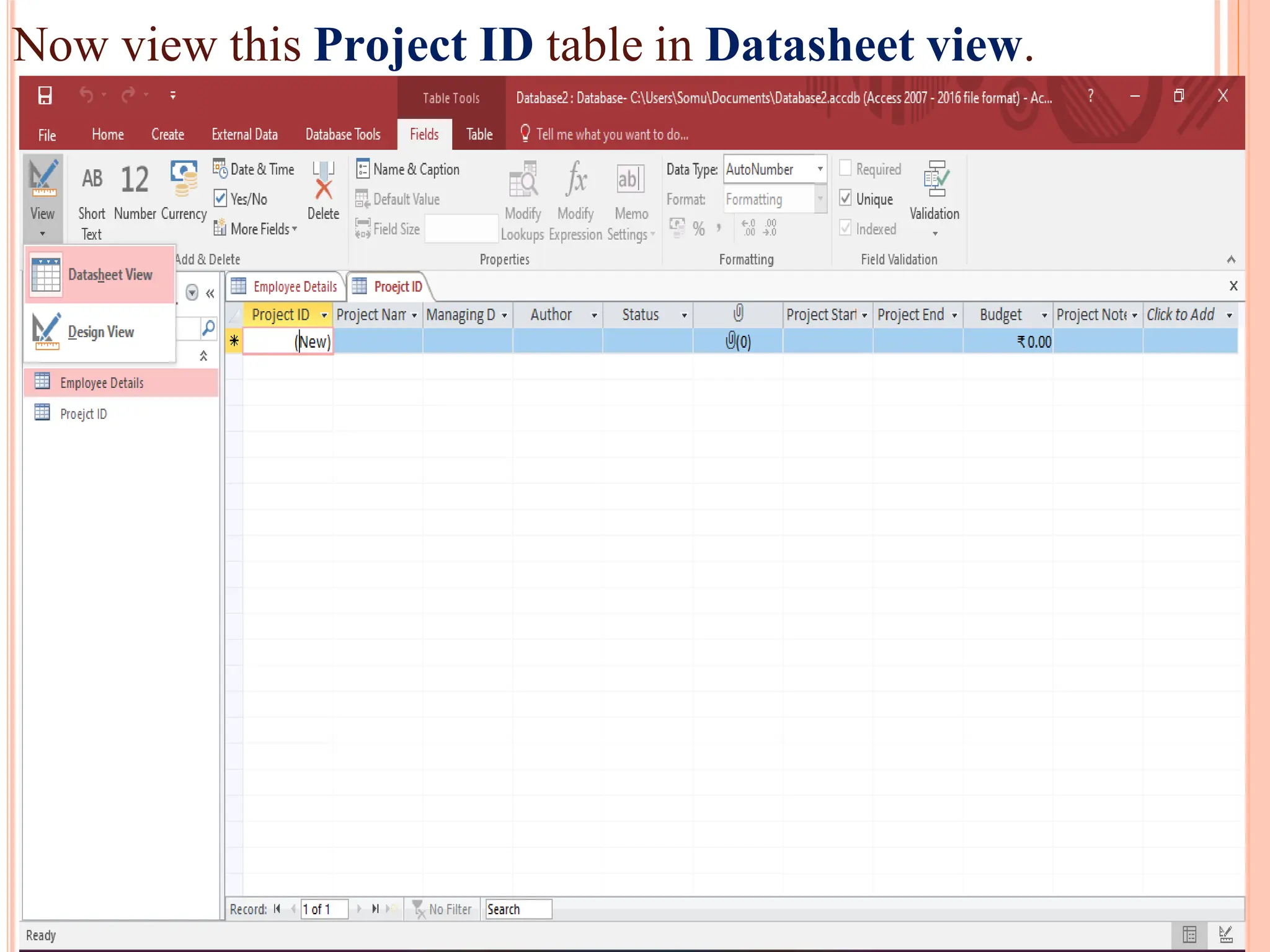 Now view this Project ID table in Datasheet view.
 