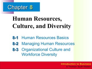 Human Resources, Culture, and Diversity 8-1 Human Resources Basics 8-2 Managing Human Resources 8-3 Organizational Culture and Workforce Diversity 8 