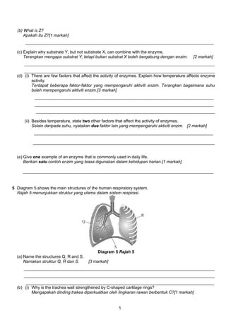 (b) What is Z?
Apakah itu Z?[1 markah]
_________________________________________________________________________________
(c) Explain why substrate Y, but not substrate X, can combine with the enzyme.
Terangkan mengapa substrat Y, tetapi bukan substrat X boleh bergabung dengan enzim. [2 markah]
__________________________________________________________________________________
__________________________________________________________________________________
(d) (i) There are few factors that affect the activity of enzymes. Explain how temperature affects enzyme
activity.
Terdapat beberapa faktor-faktor yang mempengaruhi aktiviti enzim. Terangkan bagaimana suhu
boleh mempengaruhi aktiviti enzim.[3 markah]
_____________________________________________________________________________
_____________________________________________________________________________
_____________________________________________________________________________
(ii) Besides temperature, state two other factors that affect the activity of enzymes.
Selain daripada suhu, nyatakan dua faktor lain yang mempengaruhi aktiviti enzim. [2 markah]
_____________________________________________________________________________
______________________________________________________________________________
(e) Give one example of an enzyme that is commonly used in daily life.
Berikan satu contoh enzim yang biasa digunakan dalam kehidupan harian.[1 markah]
__________________________________________________________________________________
5 Diagram 5 shows the main structures of the human respiratory system.
Rajah 5 menunjukkan struktur yang utama dalam sistem respirasi.
Diagram 5 Rajah 5
(a) Name the structures Q, R and S.
Namakan struktur Q, R dan S. [3 markah]
__________________________________________________________________________________
__________________________________________________________________________________
_________________________________________________________________________________
(b) (i) Why is the trachea wall strengthened by C-shaped cartilage rings?
Mengapakah dinding trakea diperkuatkan oleh lingkaran rawan berbentuk C?[1 markah]
5
 
