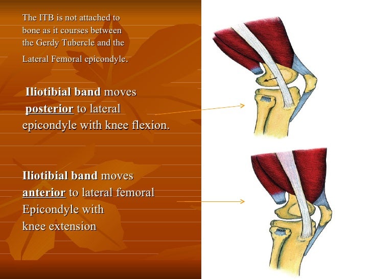 You can BeAt ITBFS!!