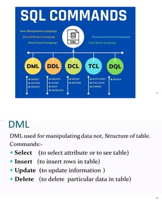 Database Management System Samplecodings DATABASE MANAGEMENT SYSTEM | PDF