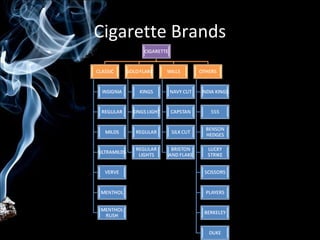 Cigarette Brands
 
