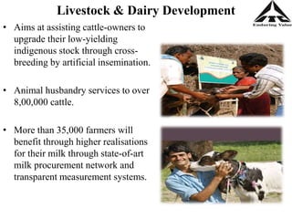 Livestock & Dairy Development
• Aims at assisting cattle-owners to
upgrade their low-yielding
indigenous stock through cross-
breeding by artificial insemination.
• Animal husbandry services to over
8,00,000 cattle.
• More than 35,000 farmers will
benefit through higher realisations
for their milk through state-of-art
milk procurement network and
transparent measurement systems.
 
