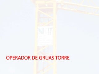 OPERADOR DE GRUAS TORRE
 