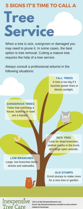 When to call a tree care service instead of a landscaper