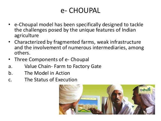 Hot pepper plants image