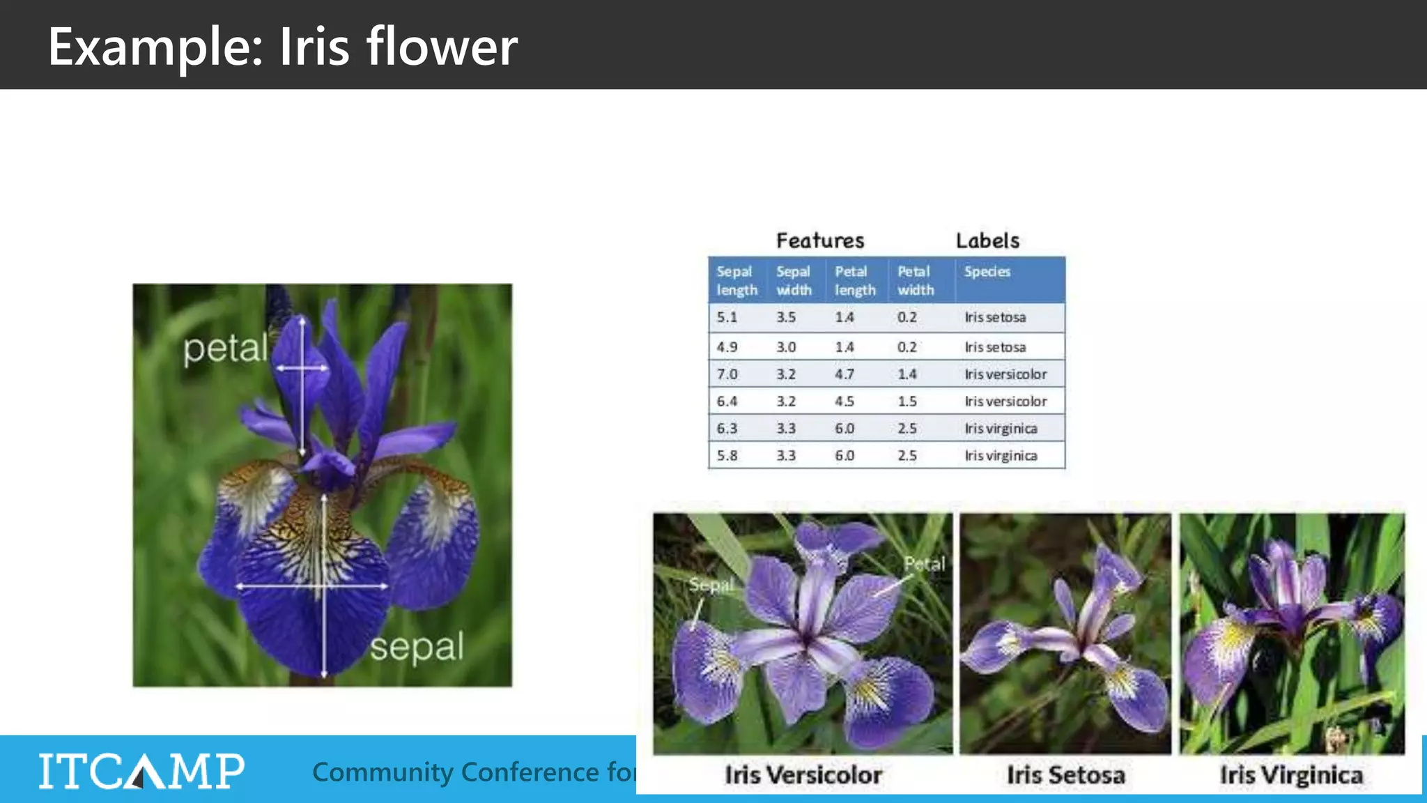 @ITCAMPRO #ITCAMP19Community Conference for IT Professionals
Example: Iris flower
 