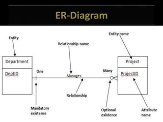 ER-Diagram
 