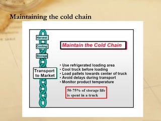 Maintaining the cold chain
 