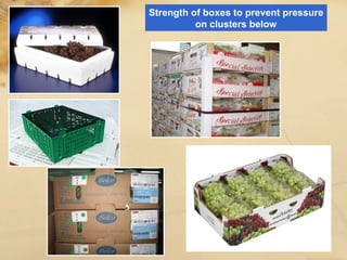 Strength of boxes to prevent pressure
on clusters below
 