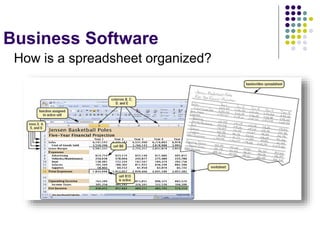Business Software
How is a spreadsheet organized?
 