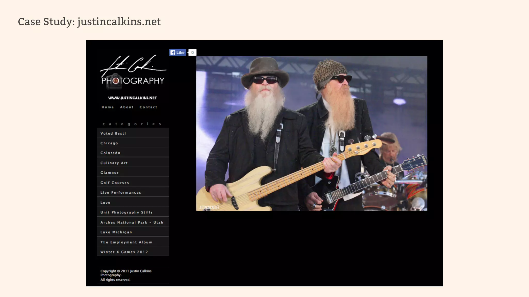Case Study: justincalkins.net 
 