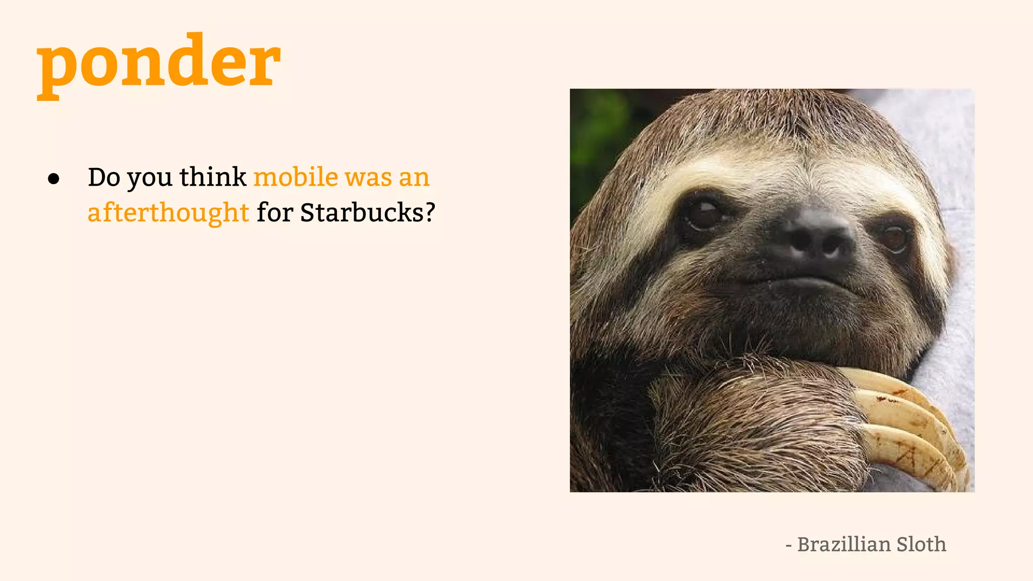 ponder 
● Do you think mobile was an 
afterthought for Starbucks? 
- Brazillian Sloth 
 