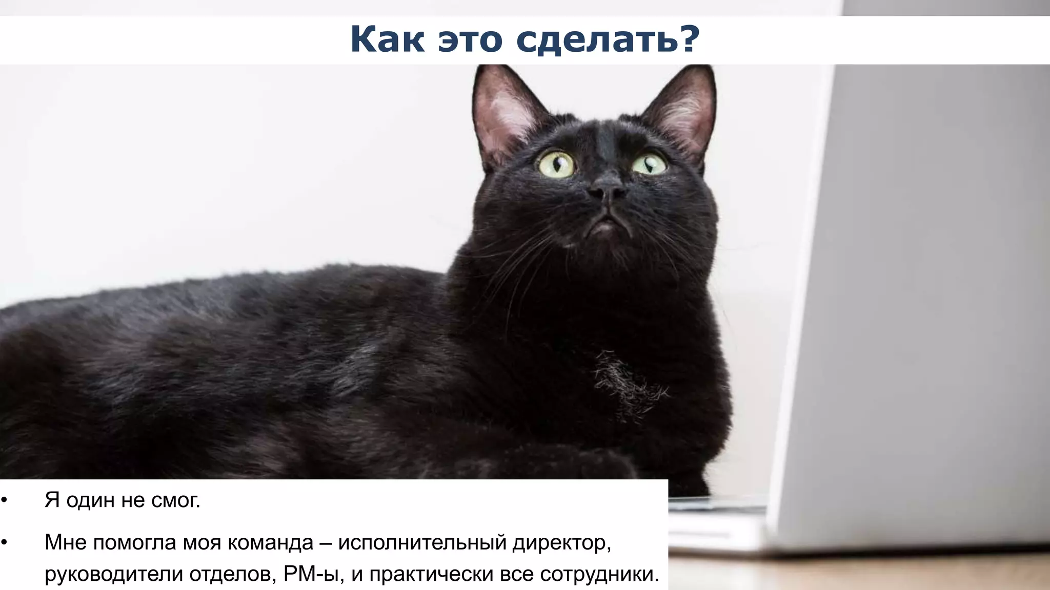 Как это сделать? 
• Я один не смог. 
• Мне помогла моя команда – исполнительный директор, 
руководители отделов, PM-ы, и практически все сотрудники. 
 