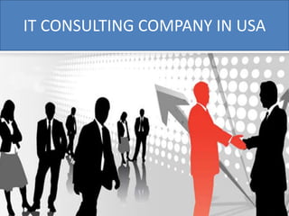 IT CONSULTING COMPANY IN USA
 