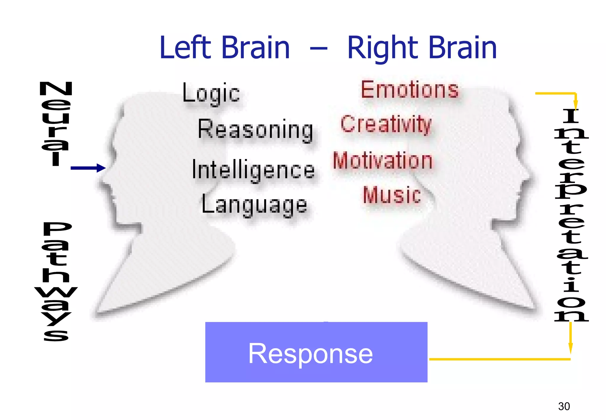 Left Brain  –  Right Brain Neural  Pathways Interpretation Response 