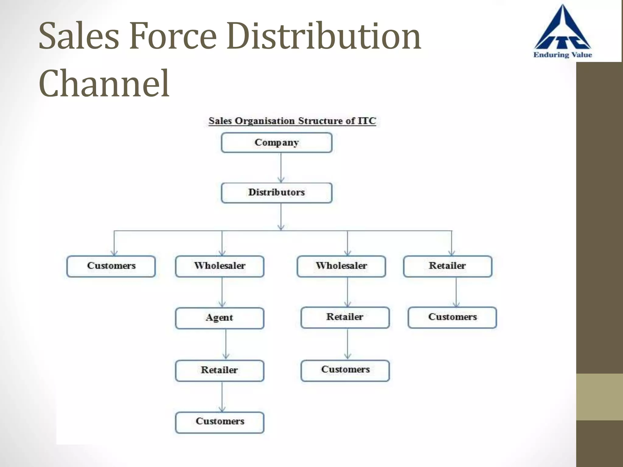 Sales Force Distribution
Channel
 